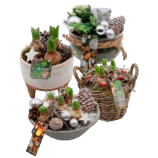 Winterarrangementen 8,-